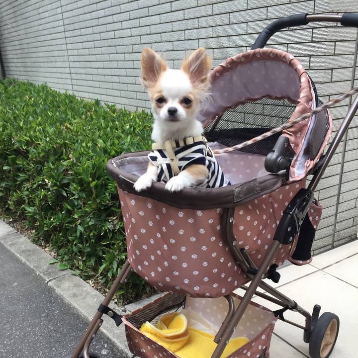 815a7e03 9c49 4703 87c1 a8a6b20de123 1521789630229