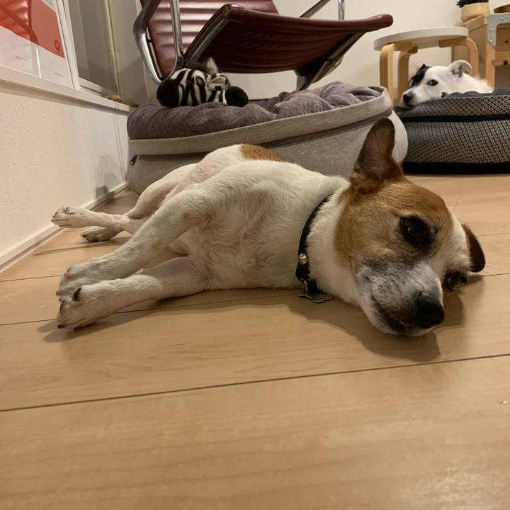 815a7e79 9c43 41f2 ad41 cd16c37f34be 1627728576523