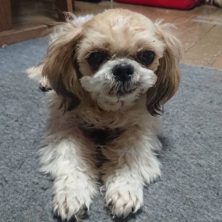 815a9ae8 fe7a 408e bcfb ed6a5017b984 1541517623480