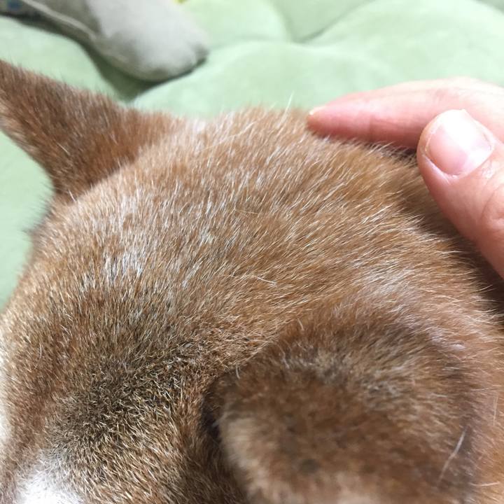 815b272d eb96 48bc bd59 176ed797f620 1529239704030