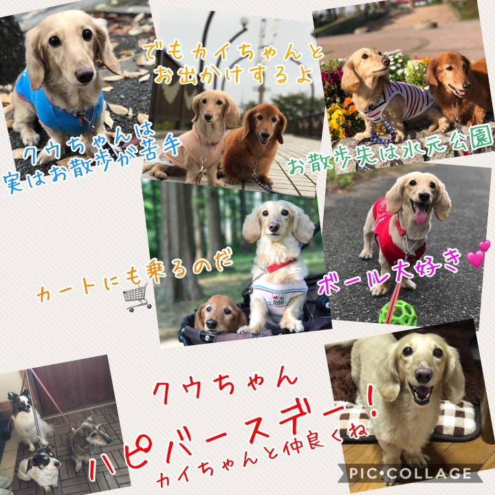 815b38a0 22f4 4caa 9f46 a53cfd0cb47e 1516265731303