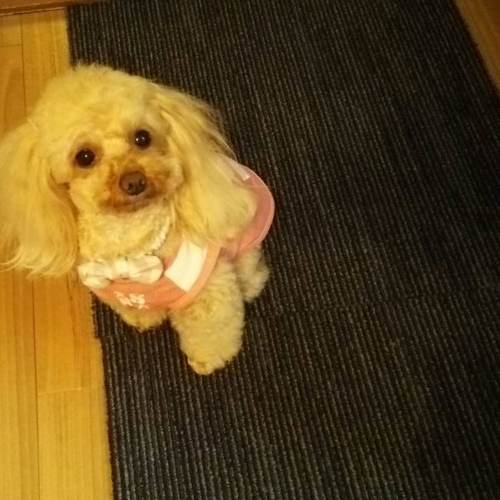 815b8592 fad3 4659 ac31 7927531b75c6 1522761102989