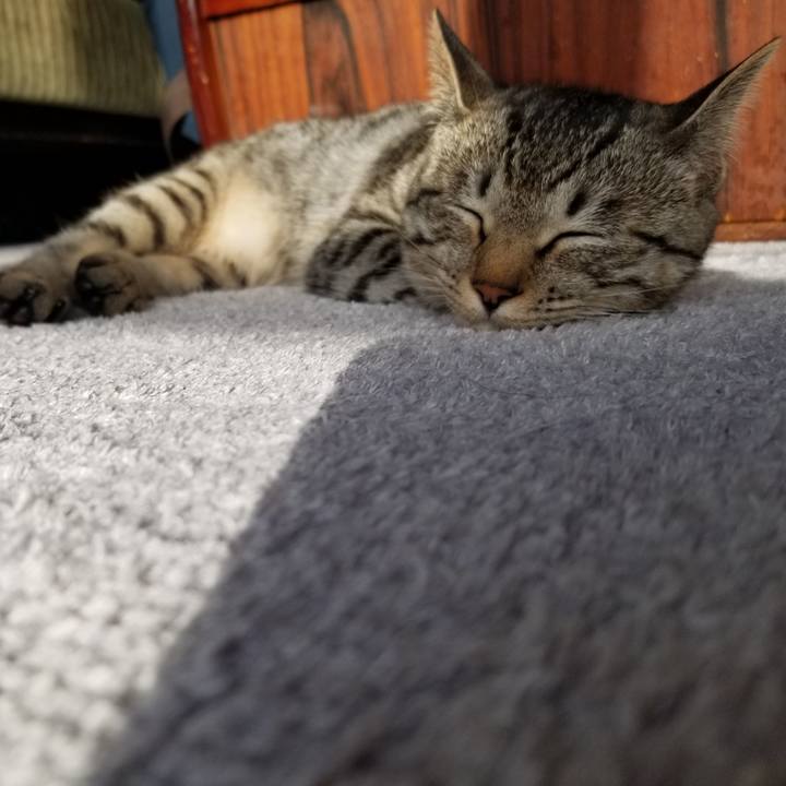 815bc10f 478b 42da a812 d9b8b93acd03 1673619486007