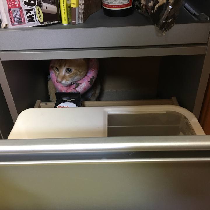 815bd370 799e 42a7 8c9b be5f65bd6942 1530184320507