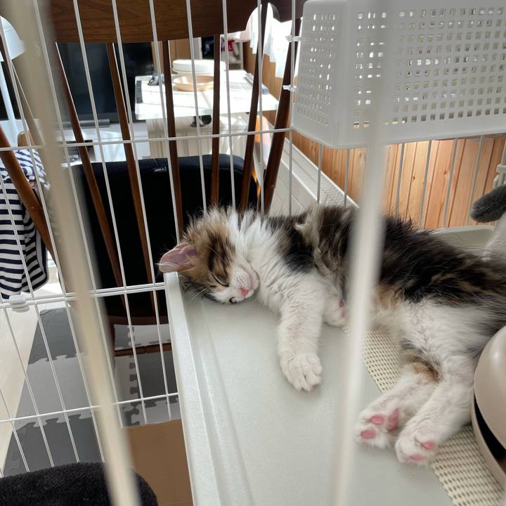 815bd3f4 f775 43f4 a4bb 5f7c4468474b 1632131664038