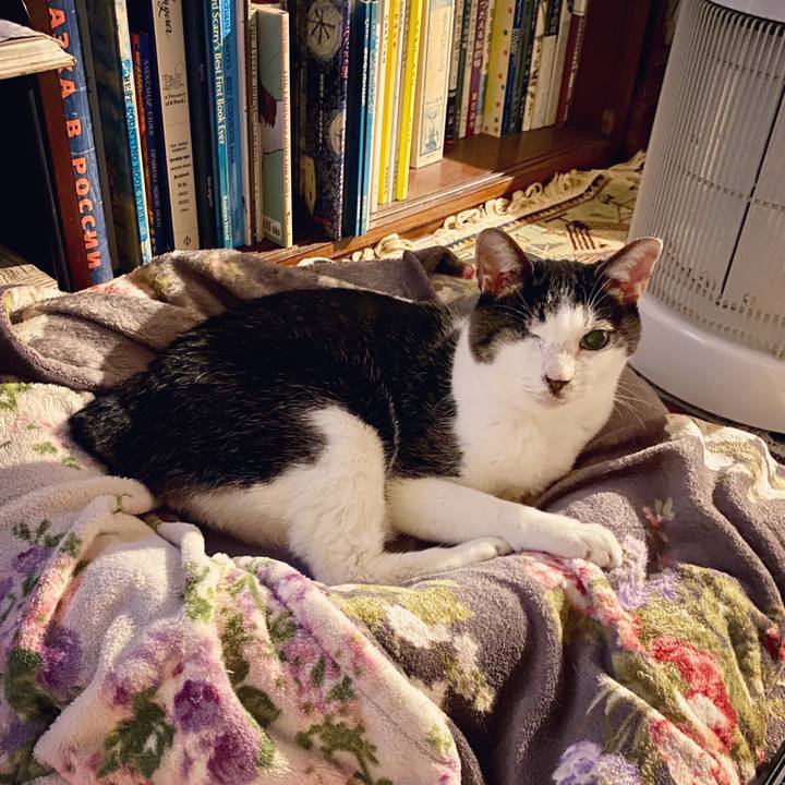 815be22f 01fa 45c1 a4e8 2c33b0e7cf00 1603894947514