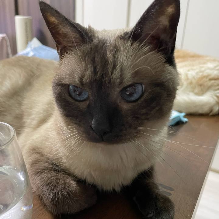 815be330 14ae 4614 a13f 43cb52dcca46 1753448754192