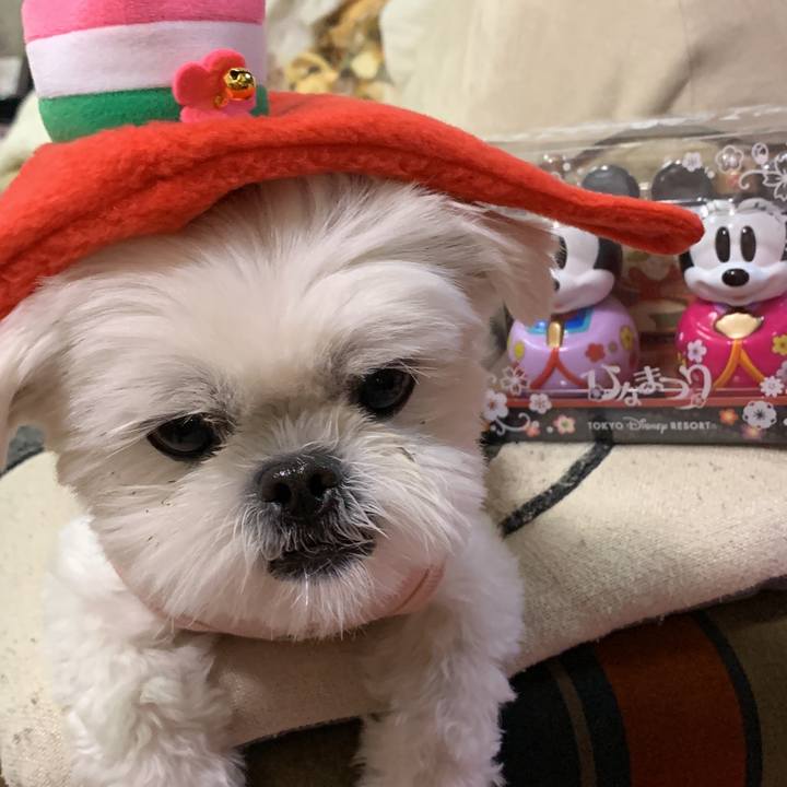 815c0f7a eed9 4105 8e29 b8c5aaf1ae4b 1646310976431