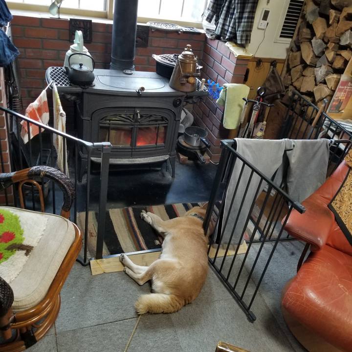 815c1678 d455 4434 9b8f f3c16bd09468 1707868127554