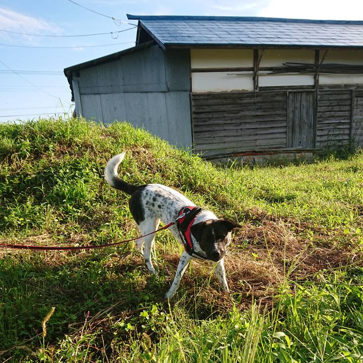 815c2255 38b5 4ef0 beb8 3edfad7cbe29 1662795655489