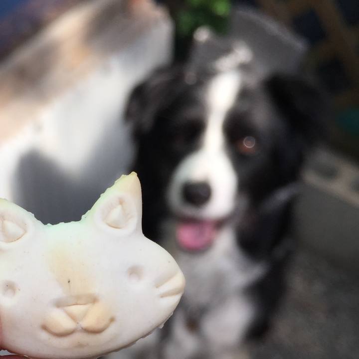 815c2dcc 83df 461c b02b c2e26789c3ed 1588811844693