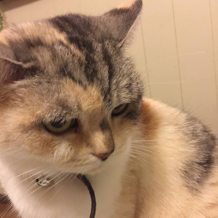 815c59c6 a356 4888 8436 b66662f9865a 1551000514109