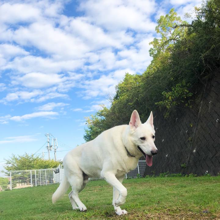 815c827c 195a 4ec4 b193 47aebaa134d2 1538442531892