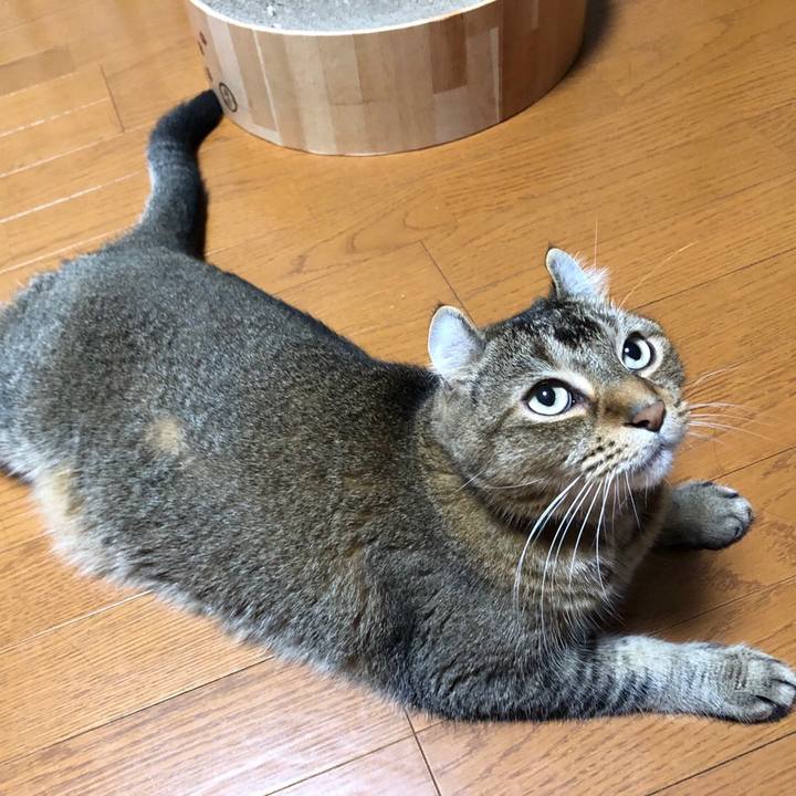 815c86b9 6732 4826 909a e0eeb8dde793 1594295415980