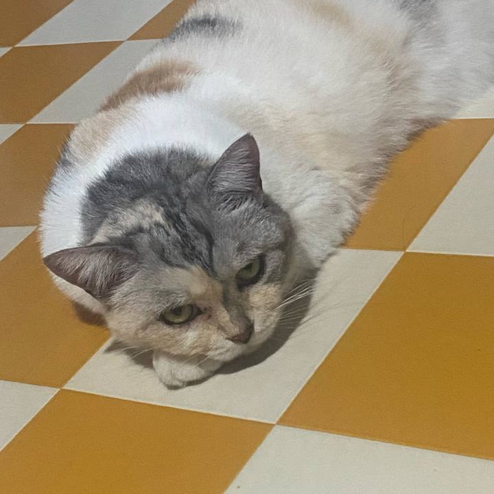 815ccf00 8c40 444b 9a68 37d2b74d1a09 1723713523300