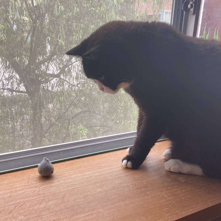 815cdf24 7a55 4cc7 878f dde2774ec2c1 1626998242826