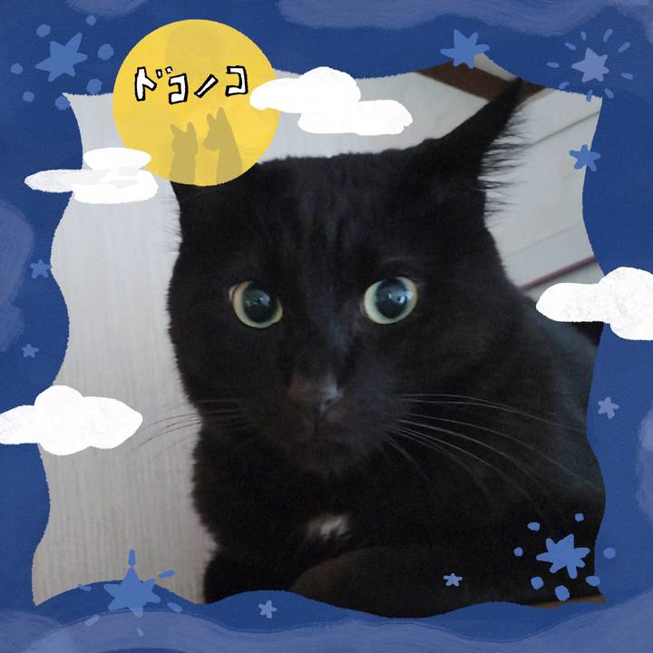 815d0319 6fc9 4f78 96bf 3c2fca8ac99a 1726814703295