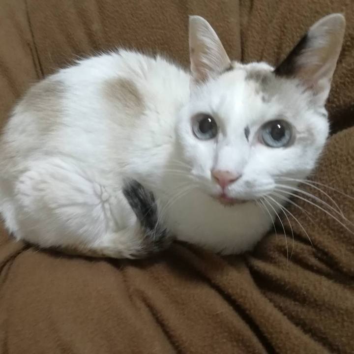 815d0377 d8fd 430b 9487 88182014d62e 1764344095370