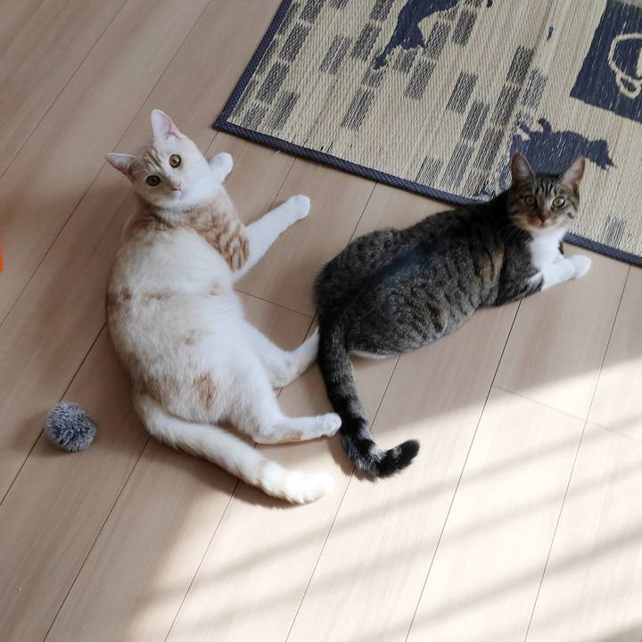 815d079f a97a 4111 b007 3e400ed8b706 1664499245249