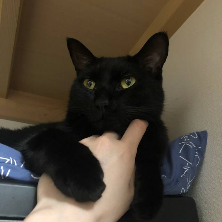 815d2220 c624 42da b822 40ea7c4280b2 1556888597263