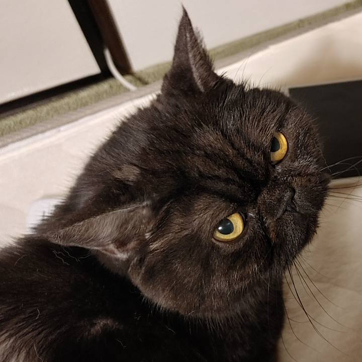 815d4ef0 68f1 4a91 8c3a ecd9e8ca9431 1647525198219