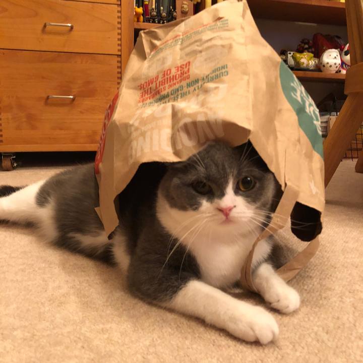 815d85a7 ed37 49a1 8729 cae750b57cc5 1536761094494