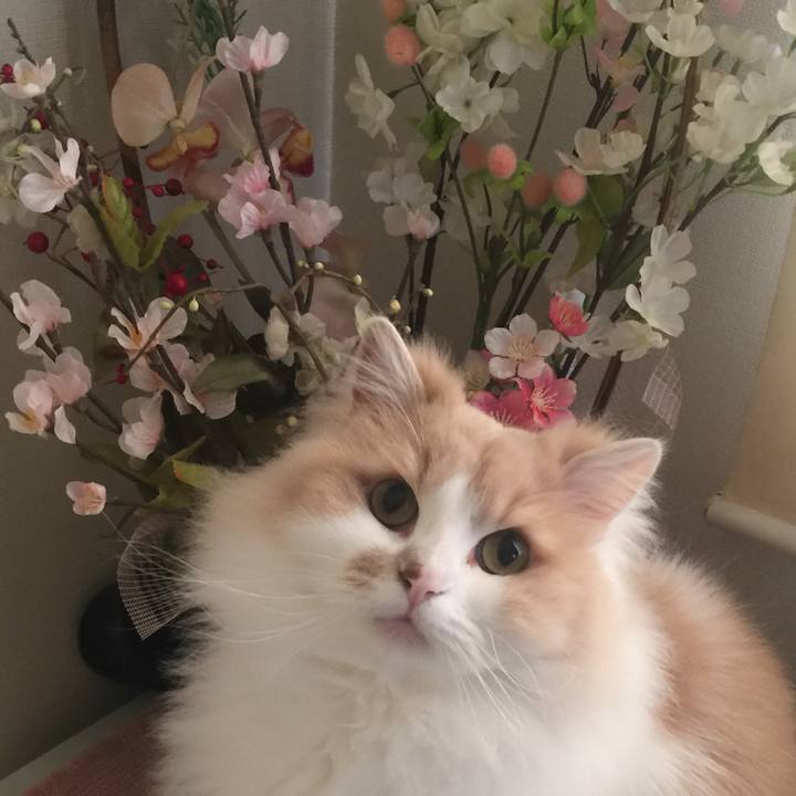 815d87f1 5522 4b0a 864f dc04ecf2ffb8 1555761602723