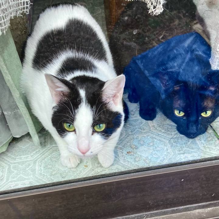 815d8ff4 9b39 49e8 88bc 23ac84f15ed2 1677825929775