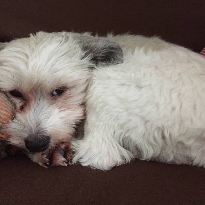 815dc259 1d6f 4fd2 a1d8 348649b8930b 1524913959735