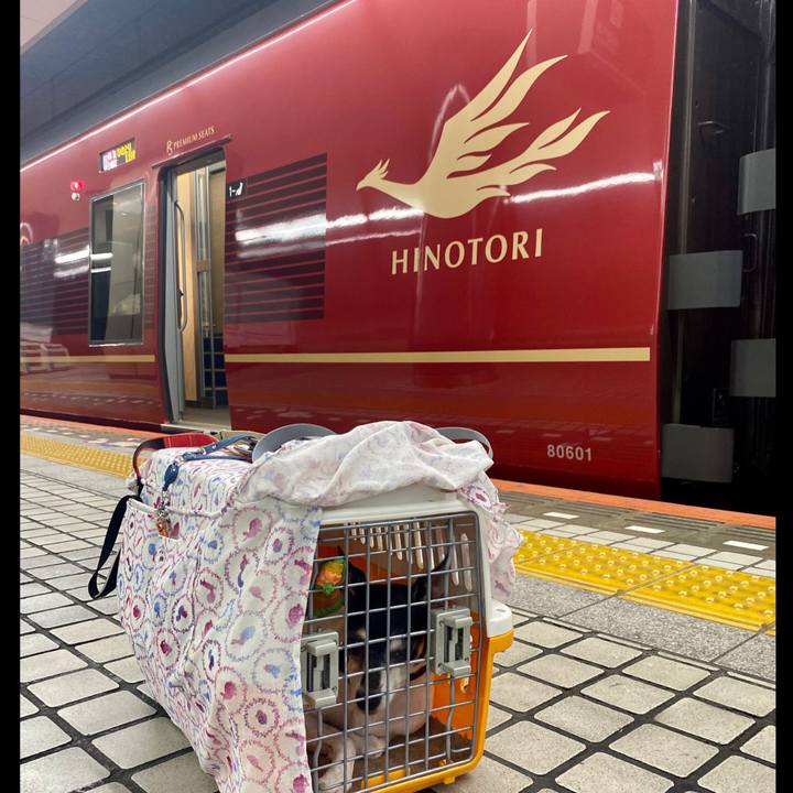 815dc52d d3ad 4515 979b 8f664f6fbfde 1596852920474