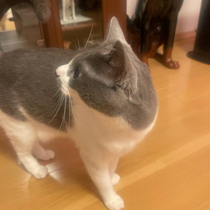 815dd3a1 46e6 4bfe a69d 850b760ada45 1681563479818