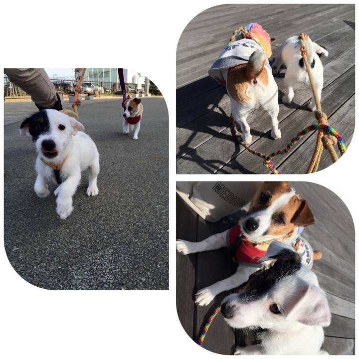 815ddb07 64b9 42bd 8eb8 a6fdd7d72d84 1551308033655