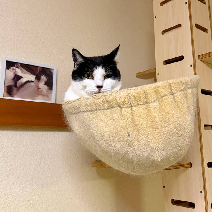 815df545 1dcb 4033 acd0 0d172d96ac85 1765101329814