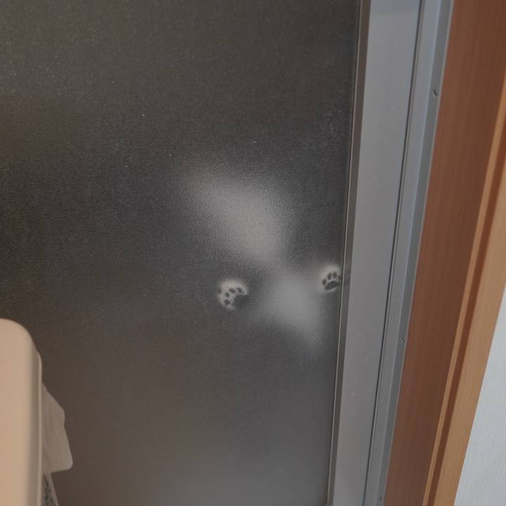 815dff1d 4383 4375 8faf 163a99c2d9bc 1608734183166