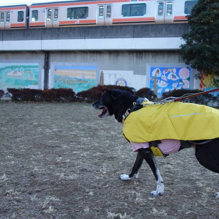 815e54d9 d058 4490 baba 0b2db81c604b 1738109006040