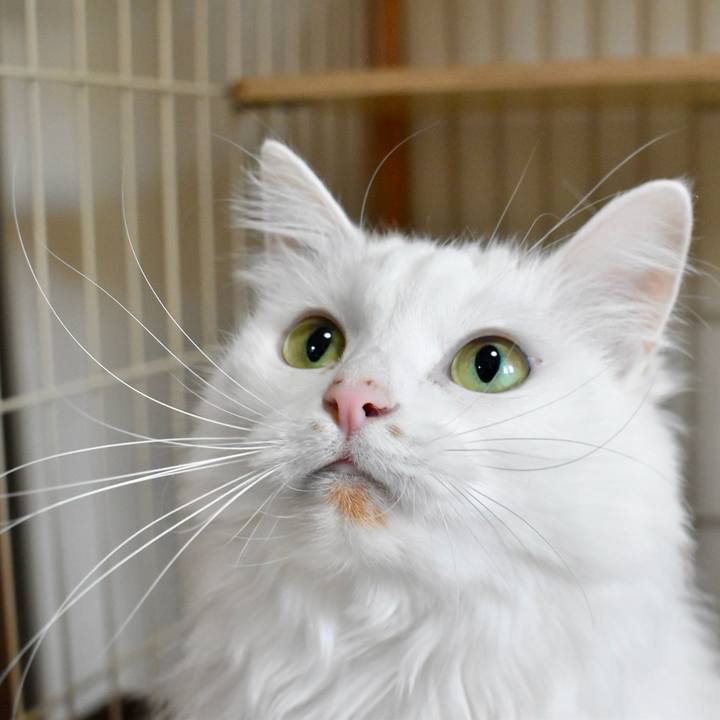 815e618c f3cd 485f 9d0a 39622b556c11 1767584145768