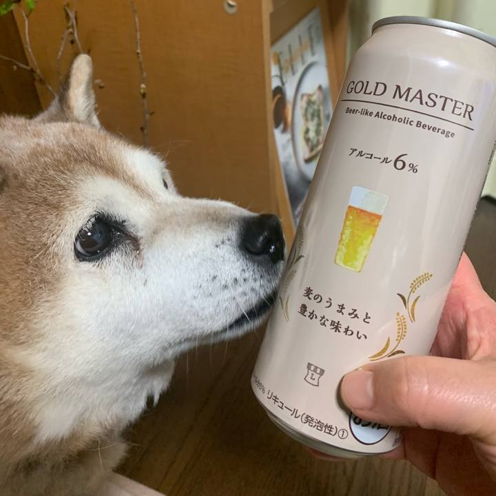 815e6868 cfe2 4296 bd74 48d6685a4875 1613730079868