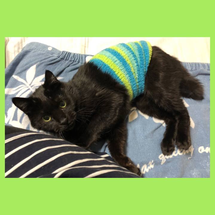 815e8dba d1d8 4e4a 9e6c 4c81d14a680d 1582537209975