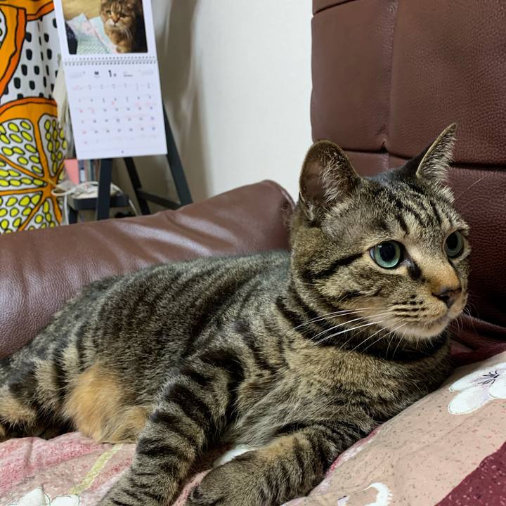 815ec7d2 2a9b 43c6 a677 a6bc99087ad1 1610117606479