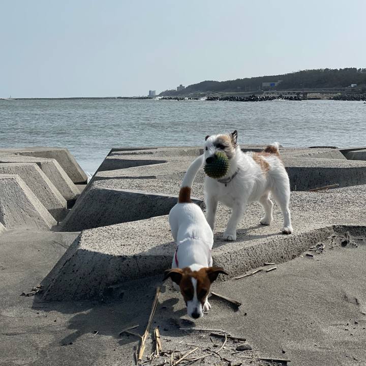 815ecf1f e47d 44dc 8342 6474c8ba06ea 1620092726155