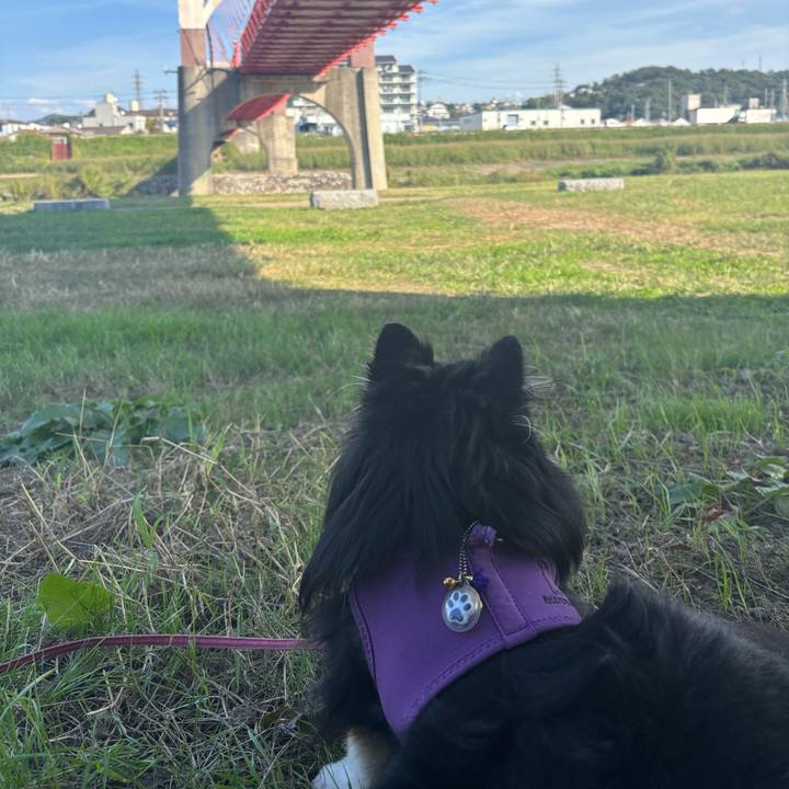 815ee0cd 6db8 4042 9dcd c3fd23bb4f93 1761800267845