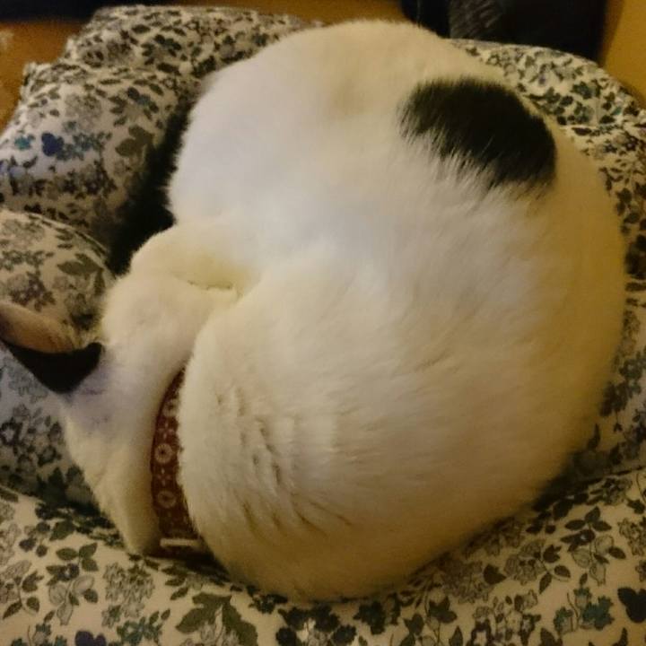 815f08e1 a6e1 4261 ba45 4162dcd0d231 1509273049161