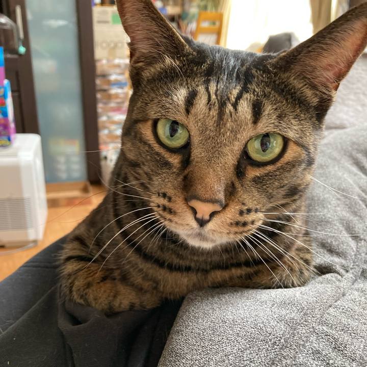 815f325a 4fe5 415a 8588 b8db4904e56b 1762570025058