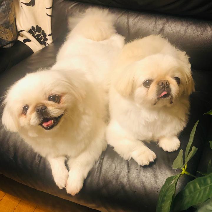 815f86c6 72c3 4fd3 870b 2aad05c4e6cc 1621340477718