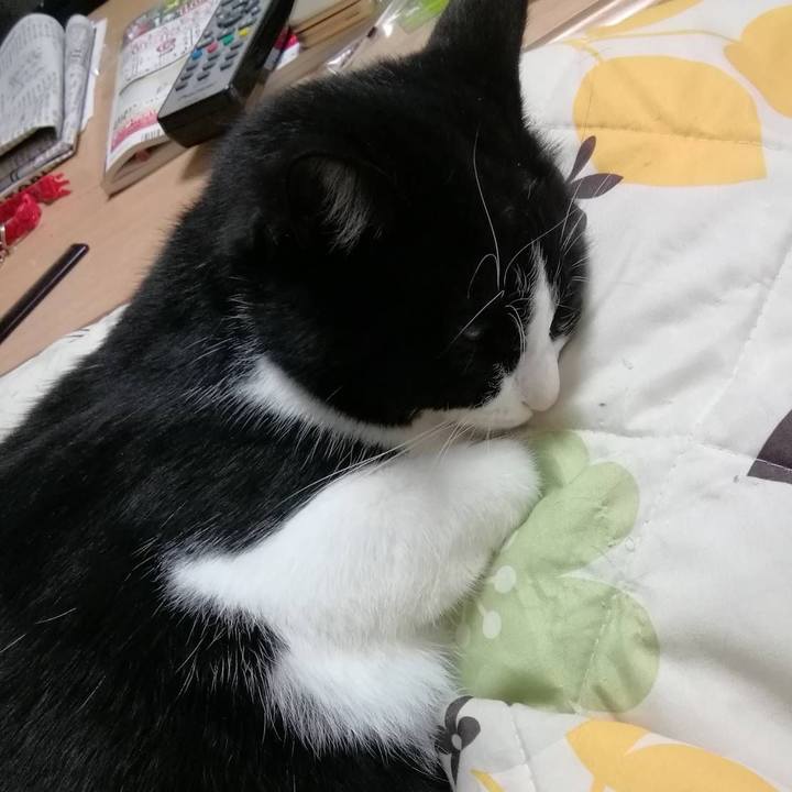 815facae 9810 4bd3 bc59 7cd944d0f6b0 1612152780476