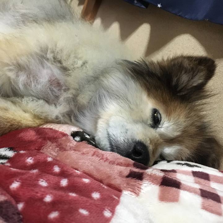 815fca56 5188 461d b2b6 7132b81c5f27 1575003971873