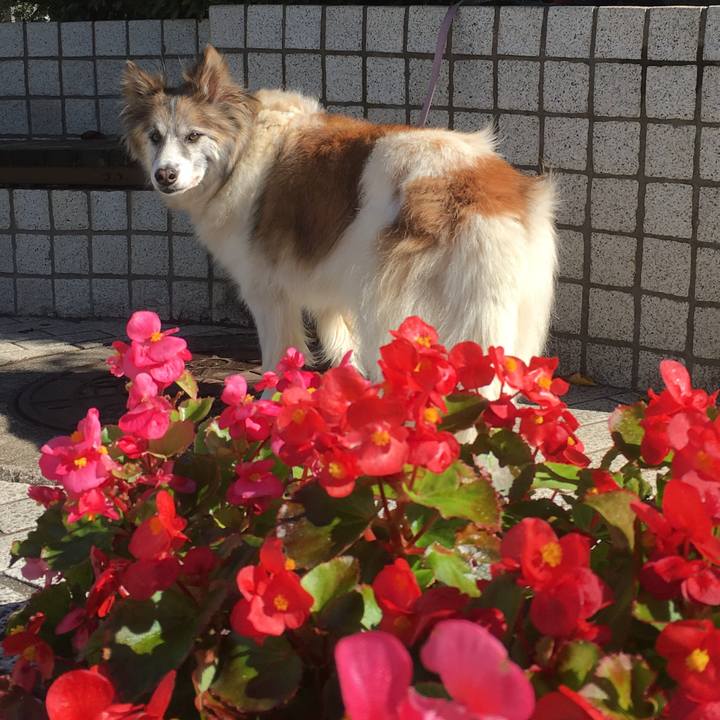 815fdcaa 2bce 4933 a24b a190ee580ef1 1509341160635