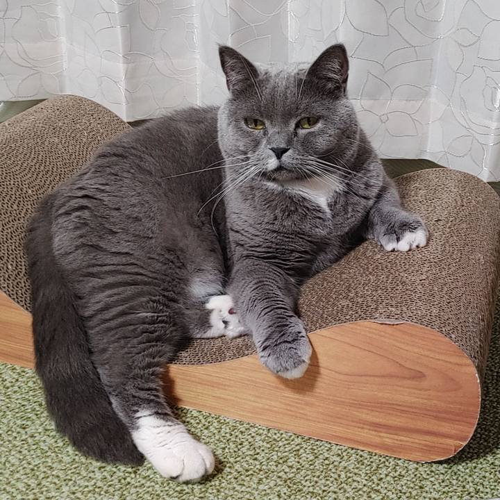 815fdec4 f17f 4f12 9de1 f35d845457c8 1628420948304