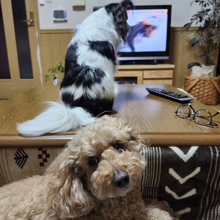 815fe74d 5eac 439b 8eb2 0e550f26f240 1770938067430