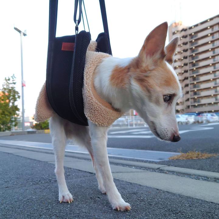 815fe762 c8fa 40c8 97db 0e027d85e3a7 1766822204166